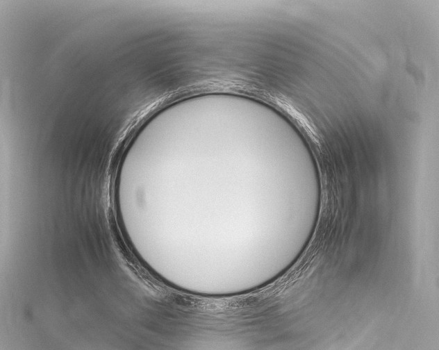 X0000116310486200911301039