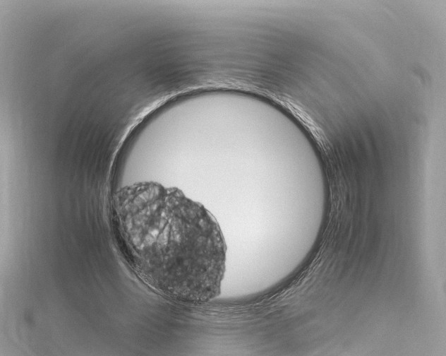 X0000116310488200911301039