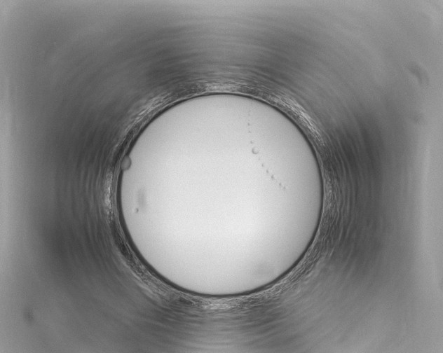 X0000116310490200911301039