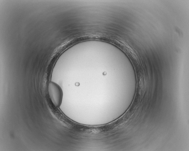 X0000116310492200911301039