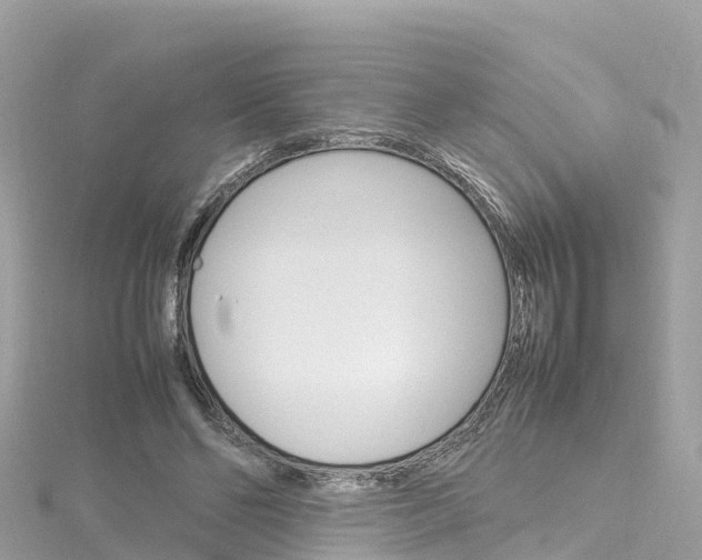 X0000116310494200911301039