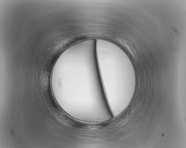 X0000116310495200911301039