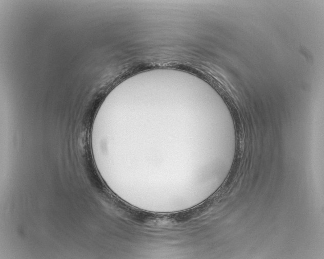 X0000116310503200911301038