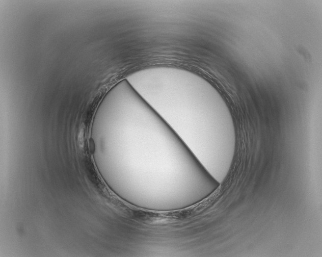 X0000116310504200911301038