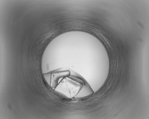 X0000116310505200911301038