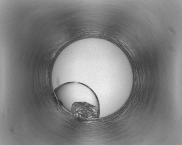 X0000116310508200911301038