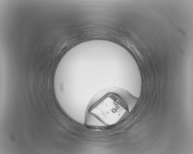 X0000116310509200911301038