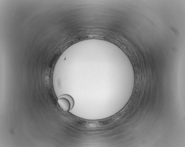 X0000116310510200911301038