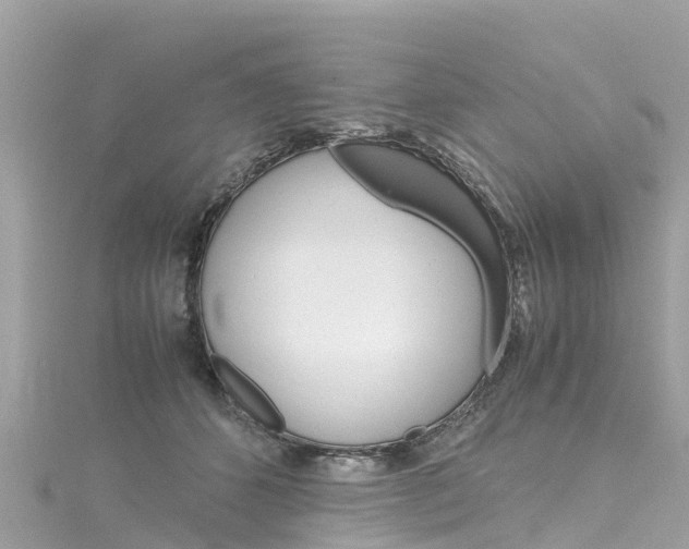 X0000116310512200911301038