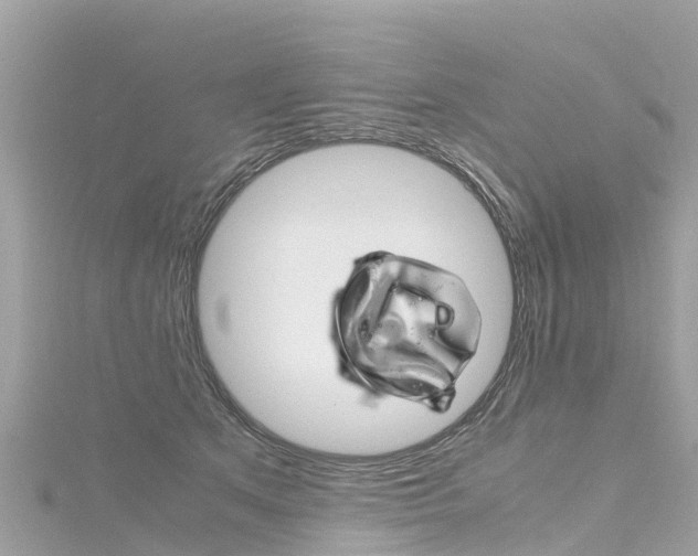 X0000116310513200911301038