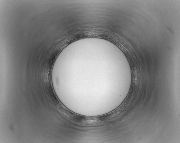 X0000116310514200911301038