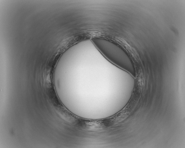 X0000116310516200911301038