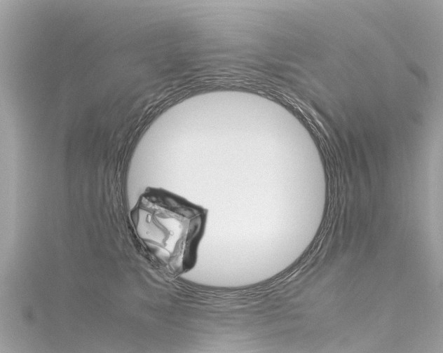 X0000116310517200911301038