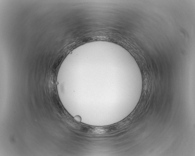 X0000116310518200911301038