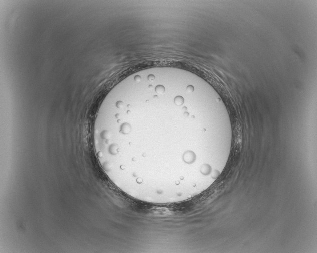 X0000116310519200911301038