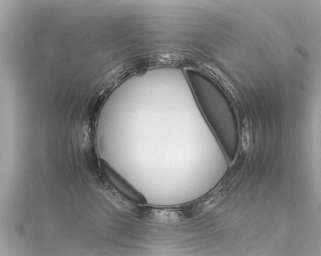 X0000116310520200911301038