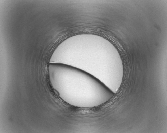 X0000116310521200911301038