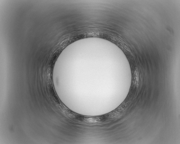 X0000116310522200911301038