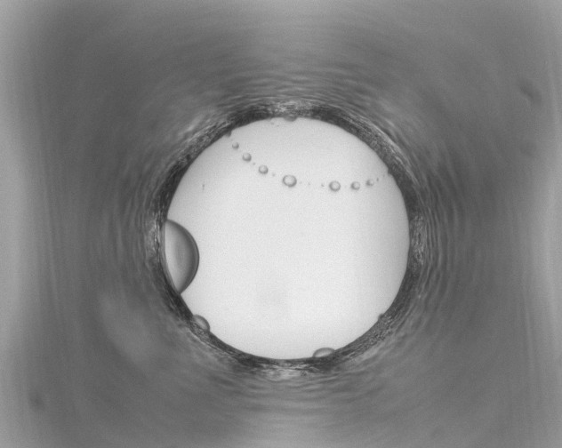 X0000116310523200911301038