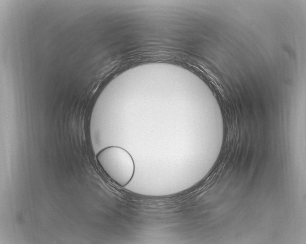 X0000116310524200911301038