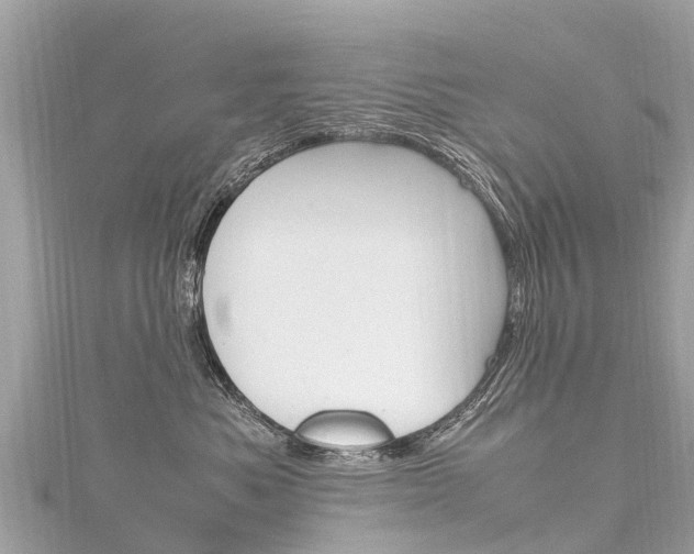 X0000116310525200911301038