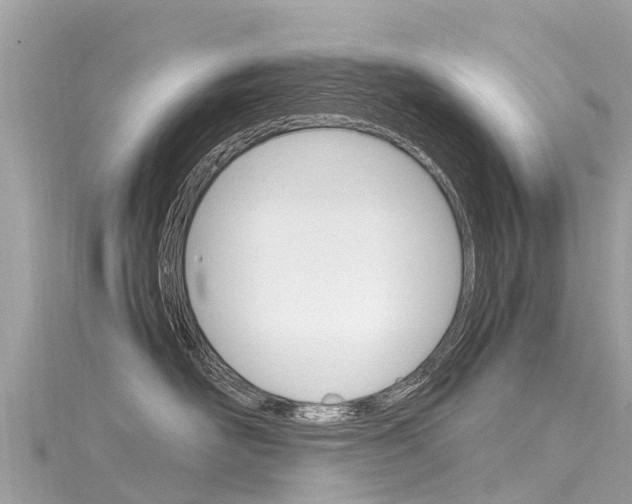 X0000116310526200911301038