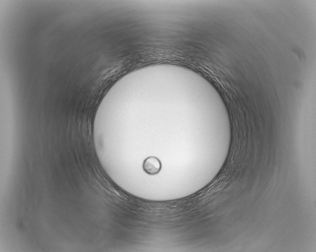 X0000116310528200911301038