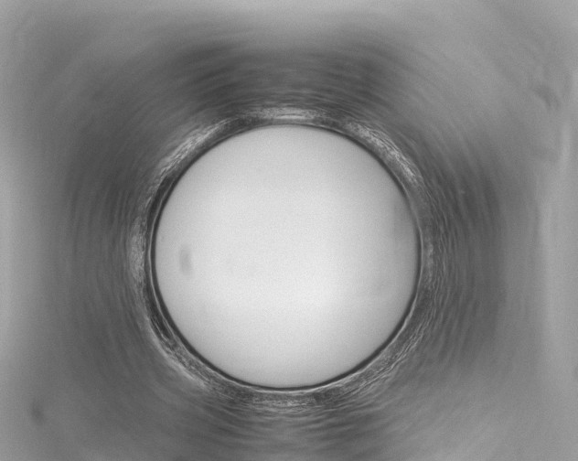 X0000116310533200911301037