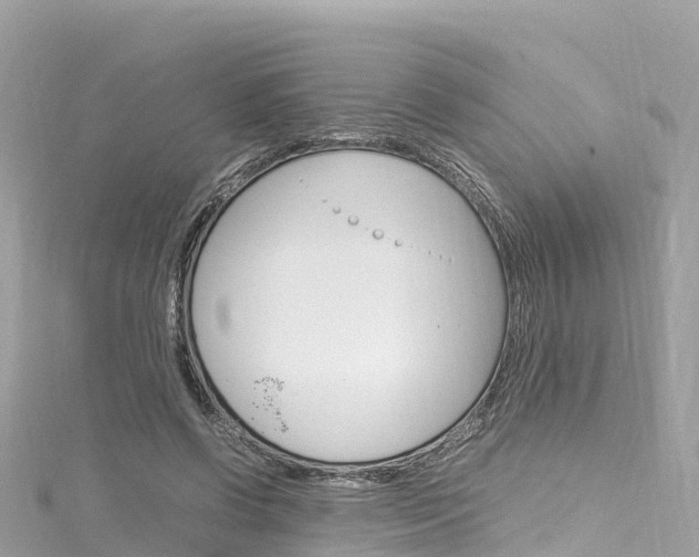 X0000116310542200911301038