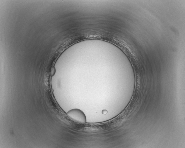 X0000116310545200911301038