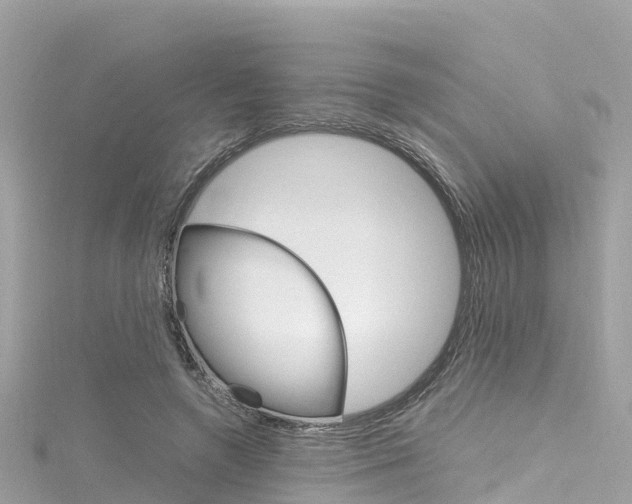 X0000116310546200911301038