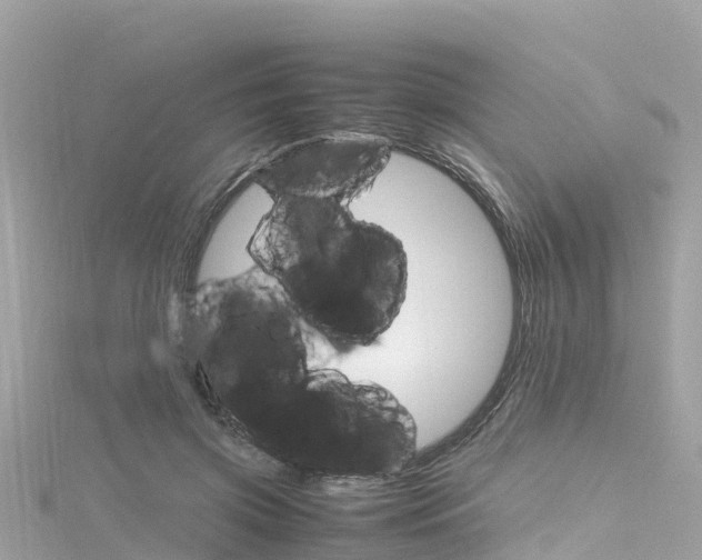 X0000116310549200911301038