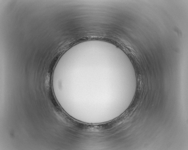 X0000116310550200911301038