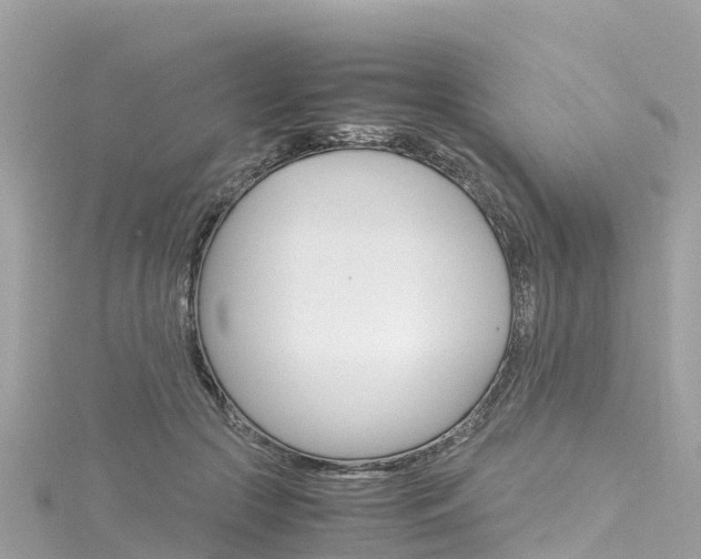 X0000116310553200911301038