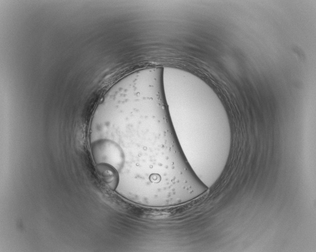 X0000116310554200911301038