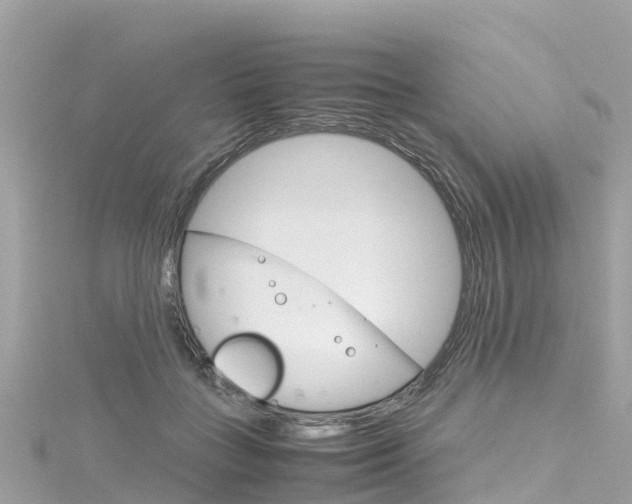 X0000116310555200911301038