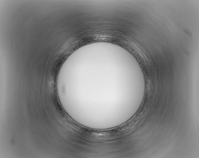 X0000116310557200911301038