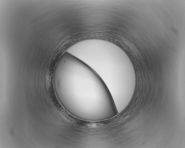 X0000116310558200911301038