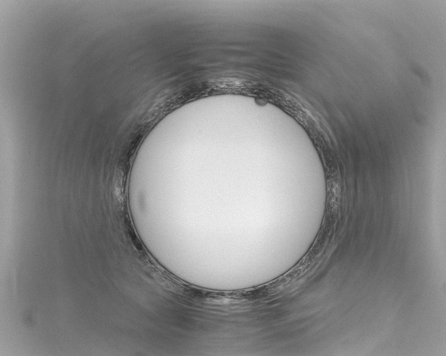 X0000116310561200911301038