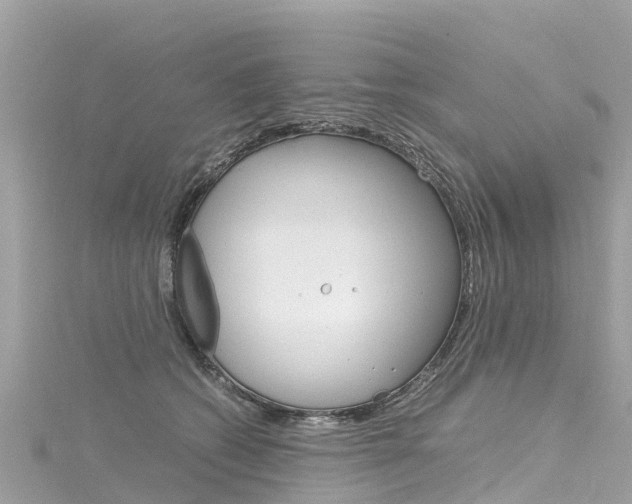 X0000116310562200911301038