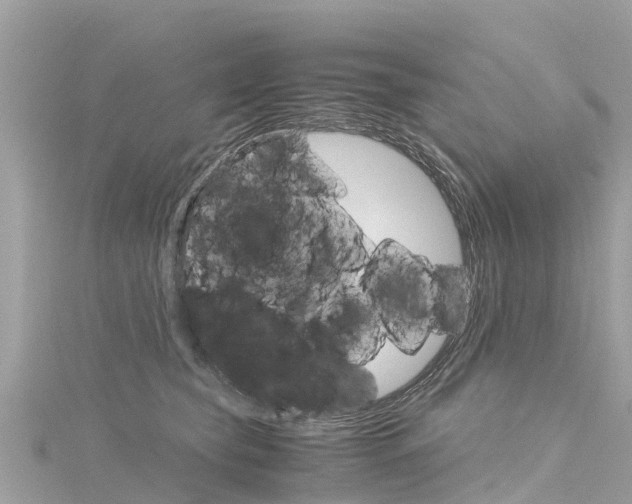 X0000116310565200911301038