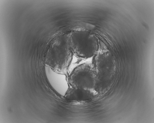 X0000116310569200911301038