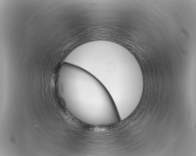 X0000116310570200911301038