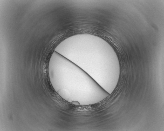 X0000116310571200911301038