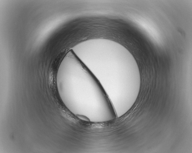 X0000116310574200911301038