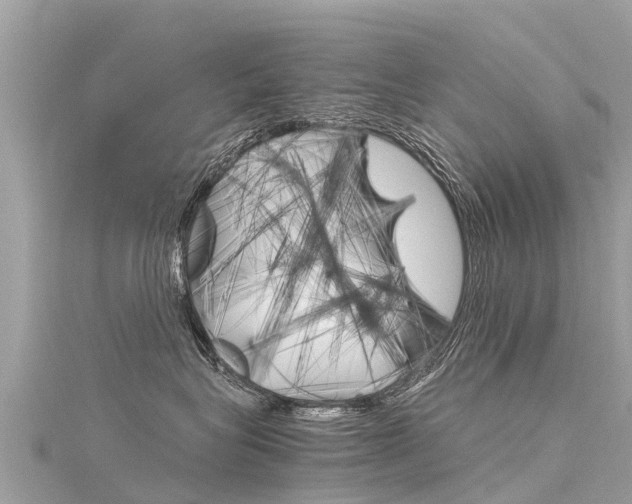 X0000116310575200911301038