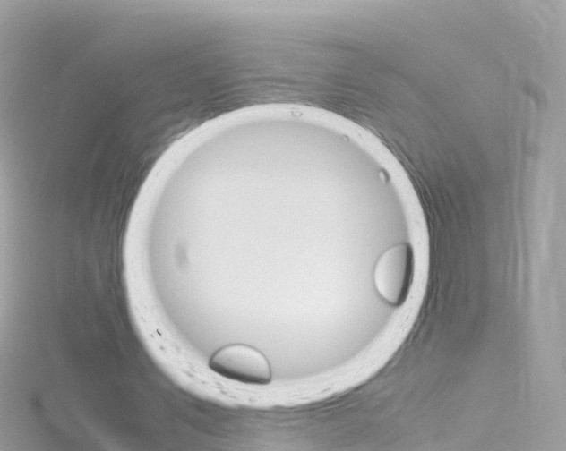 X0000116310579200911301037