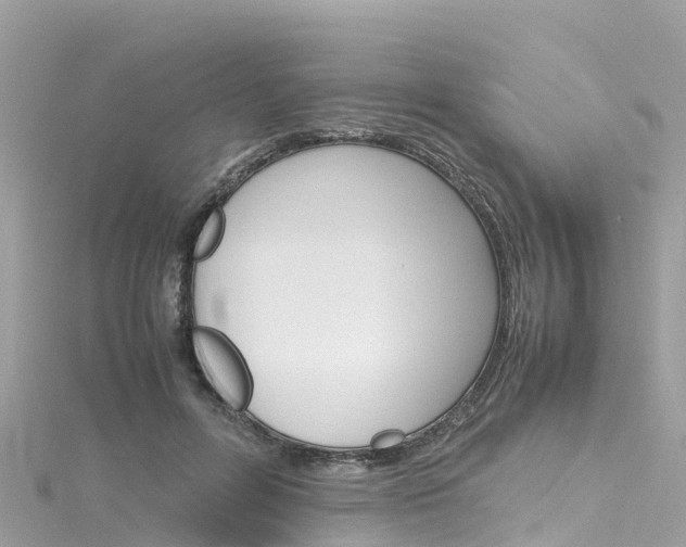 X0000116310600200911301037