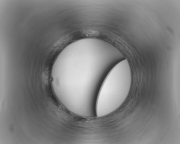 X0000116310604200911301037