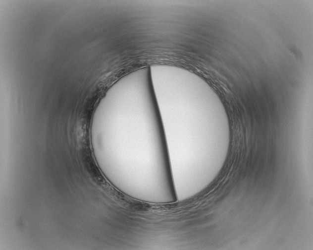 X0000116310608200911301037